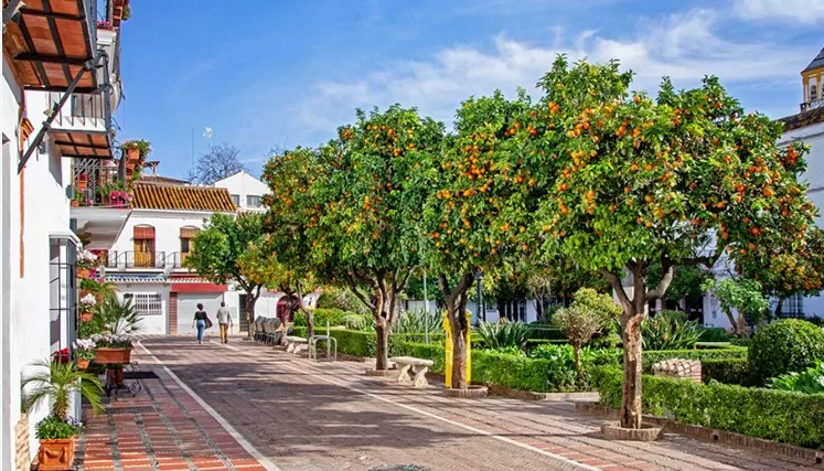 Bright and Spacious 3-Bedroom Property with Large Sunny Terrace in the Heart of Marbella’s Historic Old Town — photo 10